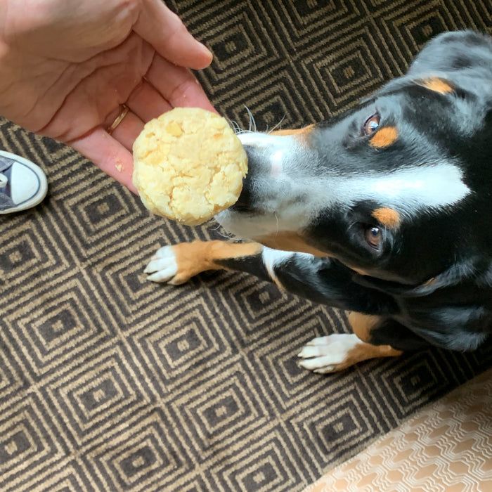 Potato Chip Shorties